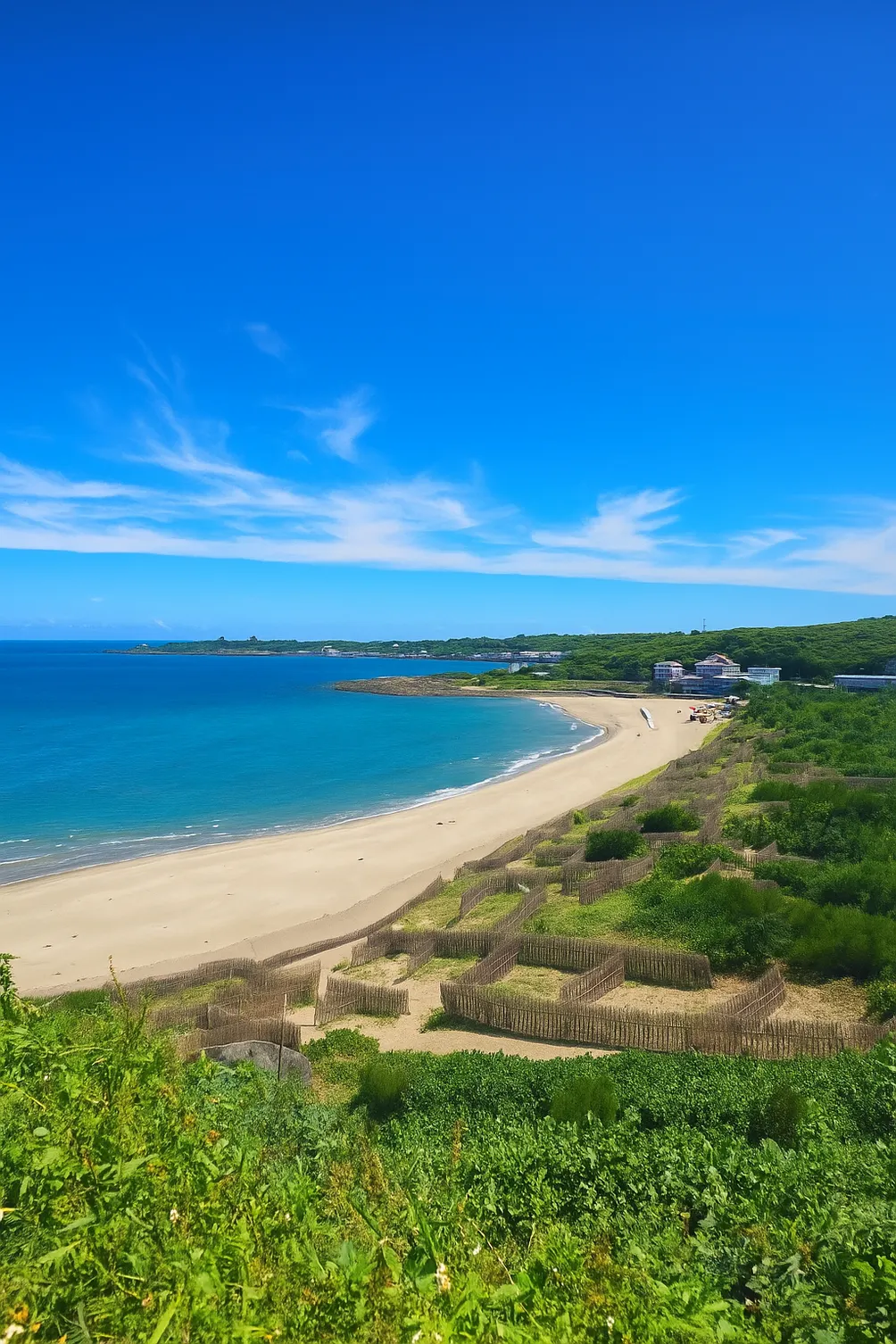 加了柳橙汁的辛西米托龍舌蘭