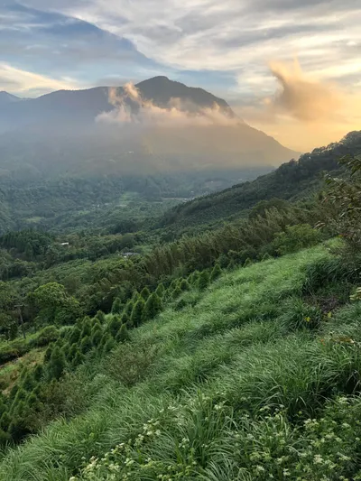 :-為什麼叫「與守護靈在愛裡散步」?阿卡西紀錄是問事嗎？-: