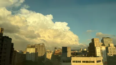 全世界都在跳舞，你怎麼可能不想動？