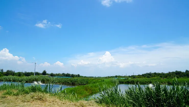 由漁塭轉型為休閒漁業