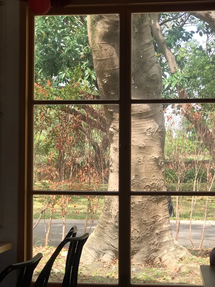 店裡生意很好,下午時間幾乎都是人