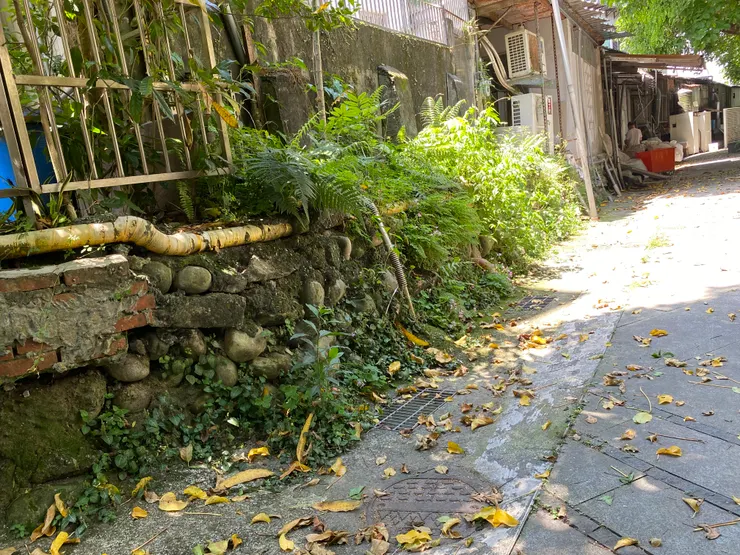 這道鵝卵石堆砌的駁坎，是1926年萬盛溪進行整治的遺跡