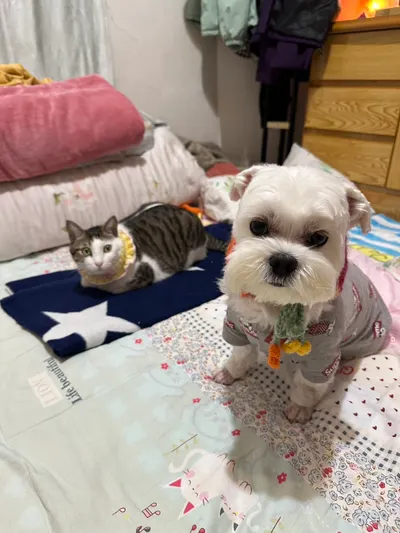 雨下過後的晴天