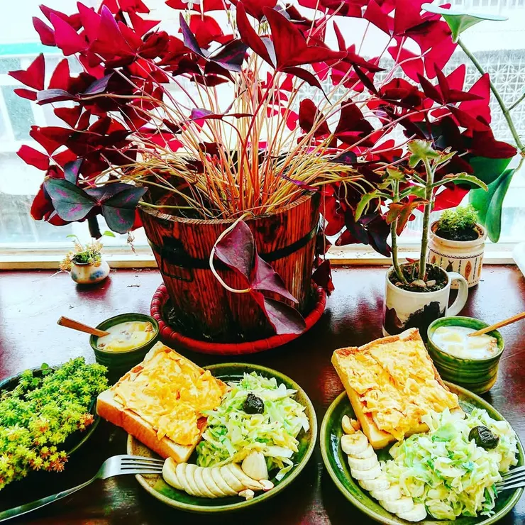 開始學習一起生活