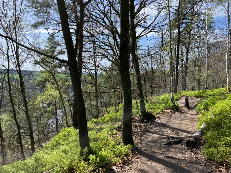 【德國生活】2024年生活回顧