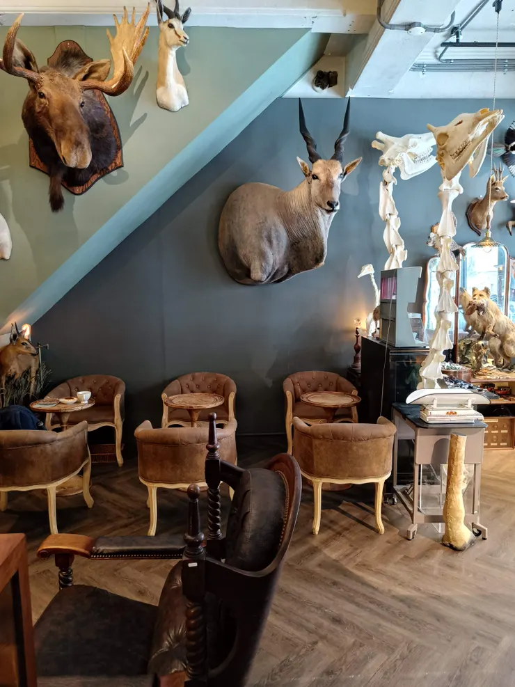 詭異程度破表！