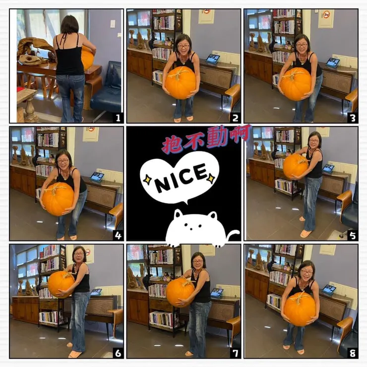 民宿的南瓜，好大，抱不動