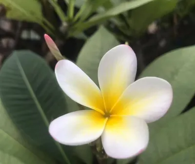 Sherry姐姐的沙龍