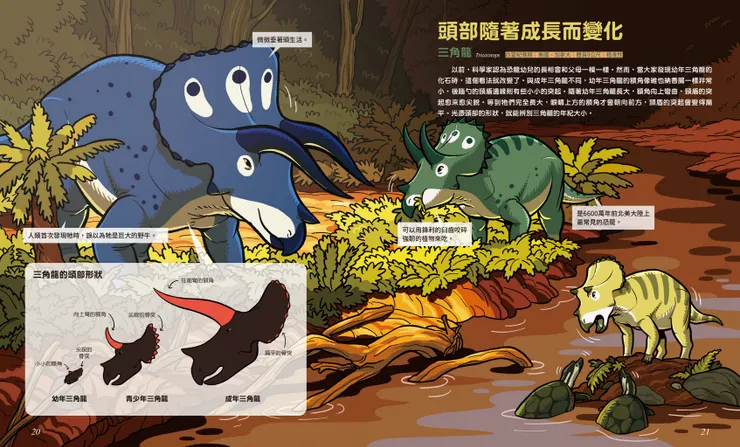 三角龍的生活方式｜《噓！恐龍的祕密》｜小角落文化出版