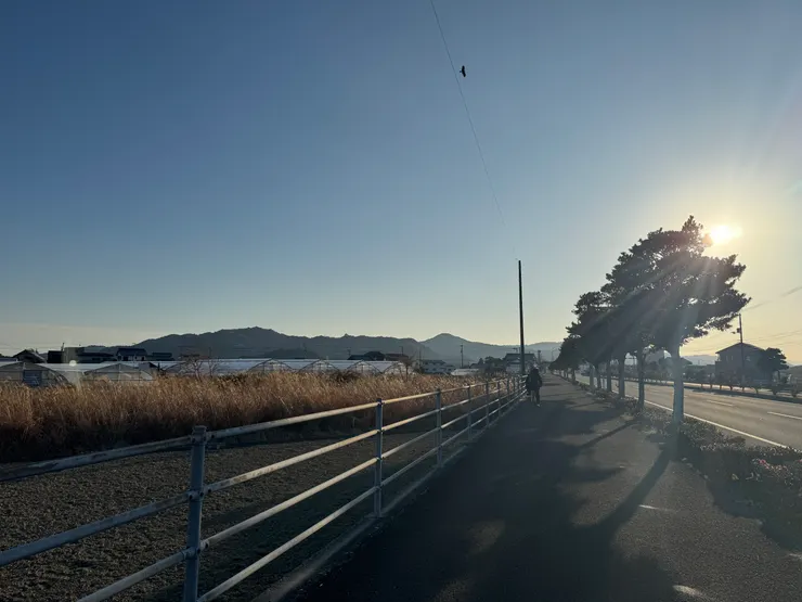 歸途的夕陽好美。