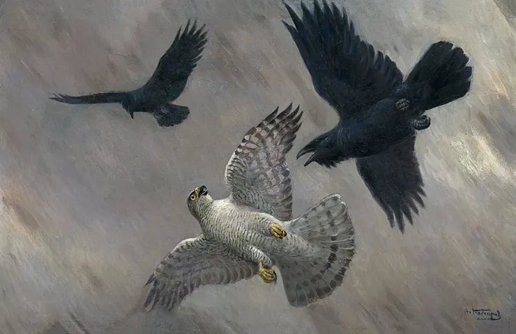Alexei Komarov, "the Crows and The Eagel", 1960