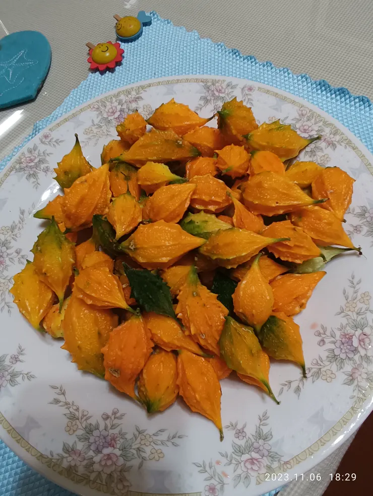 今日向晚單騎野地遇“山苦瓜“，明日品其湯吧！採摘務必做好防護，其刺細尖