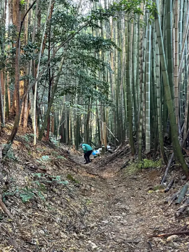 「弦卷坂」竹林小徑內部