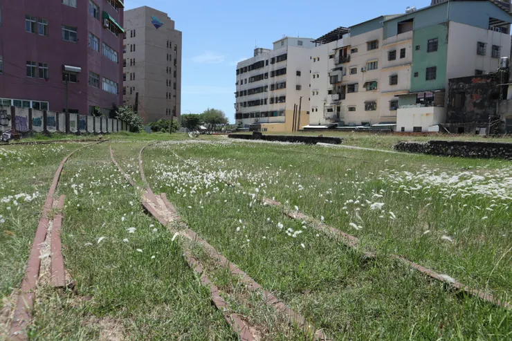 軌道、道岔、月台，與繁華落盡後的白色花海