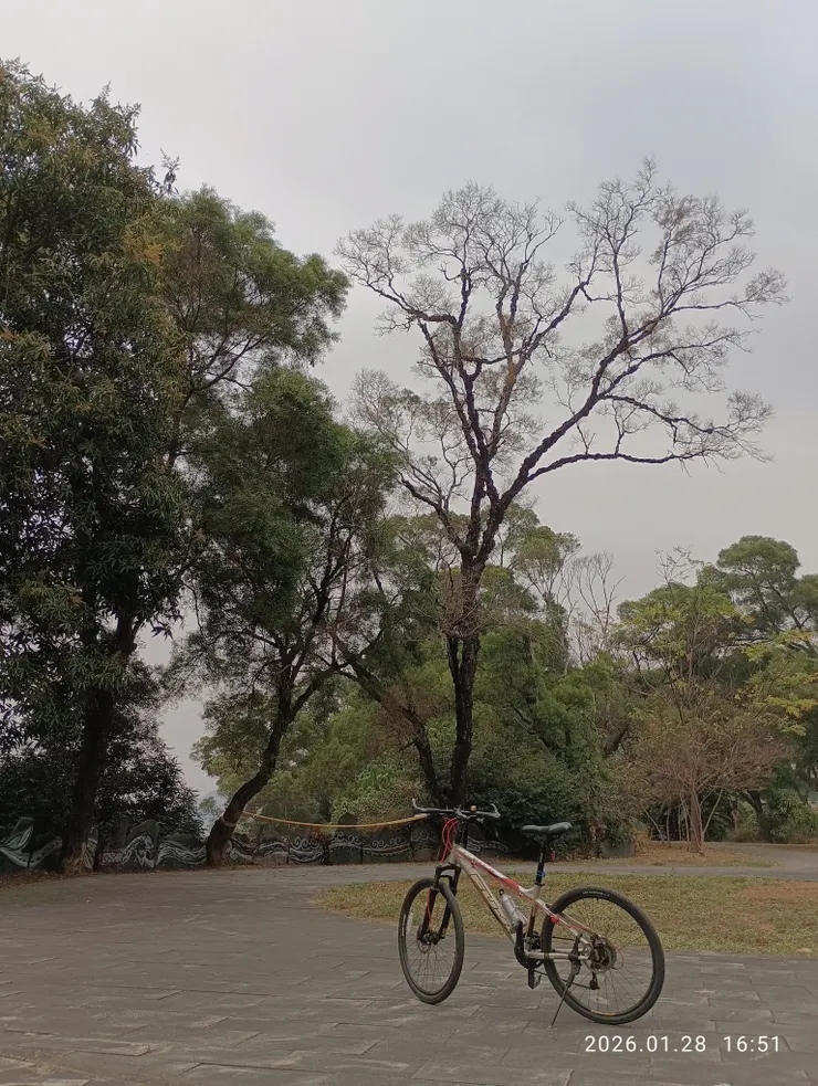 誰淹留歸思難收