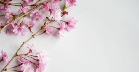 寫字人的嘰哩呱啦