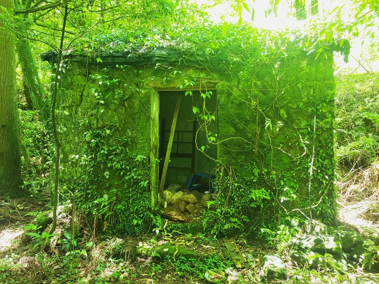 陽明山牧場辦事處遺址