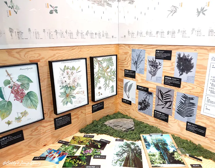 ▲台中「大雪山國家森林遊樂區」/圖片來源：Betty's Jump Diary