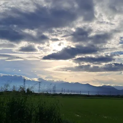 上班族的下班人生的沙龍