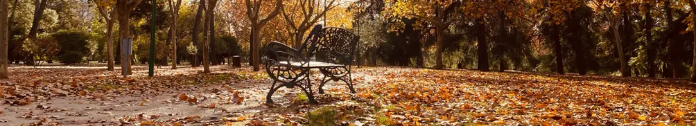 無所事事主婦日常的沙龍