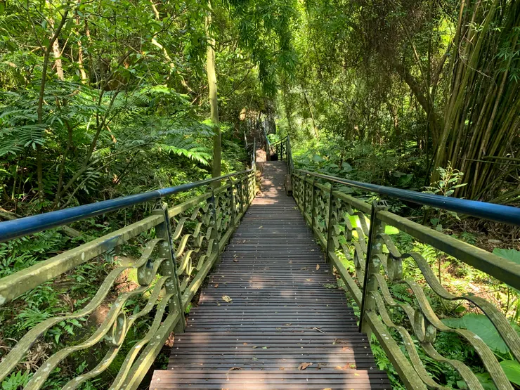 舒兒：心心 夢夢 下坡路段不要用跑的…