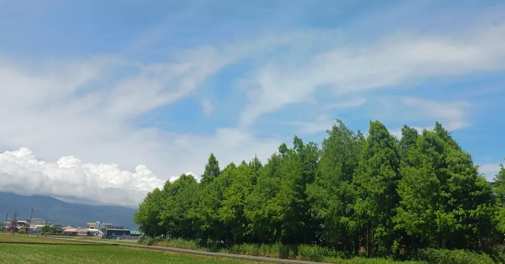 路過的生活日記