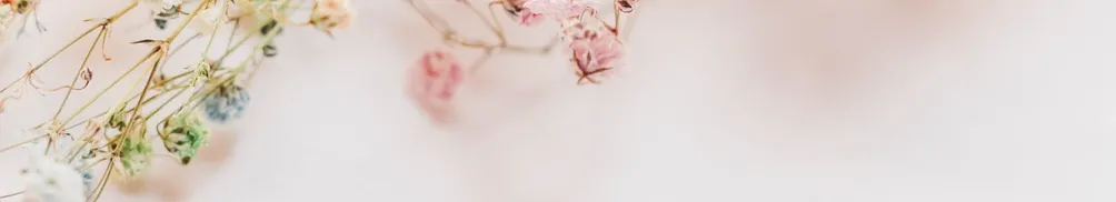 28整理女子的沙龍