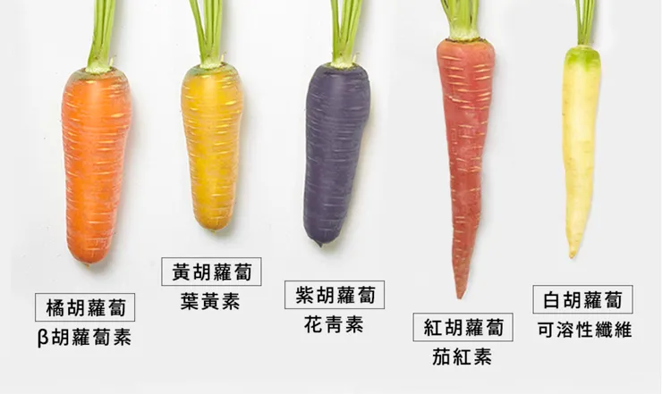 五種不同顏色的胡蘿蔔
