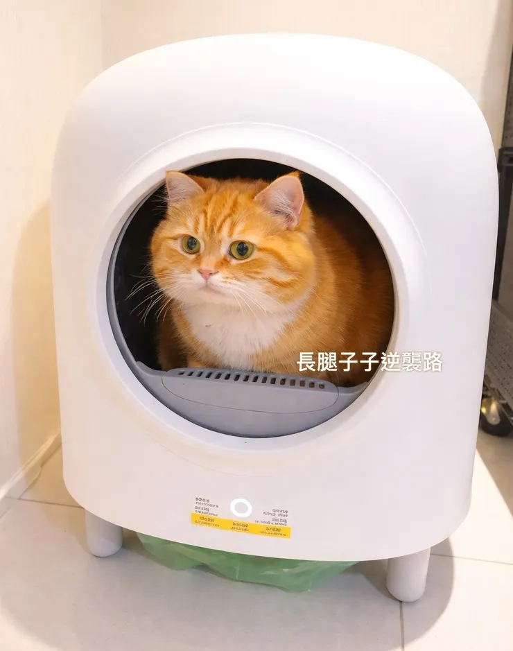 才剛拆開的時候拍的🐱🐱🐱