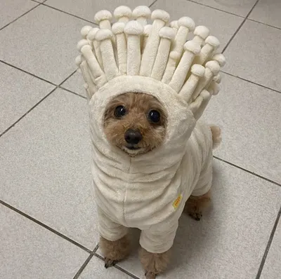 allmoneybackmyhome的沙龍