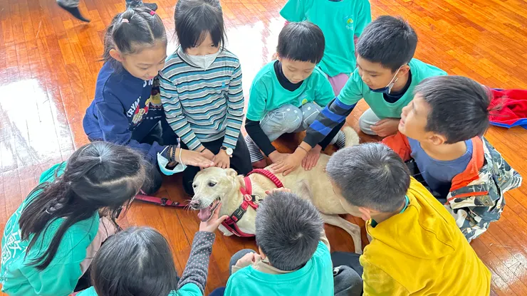 孩子們知道「小白」被捕獸鋏弄斷兩隻前腳，心疼不已，都來為他加油打氣