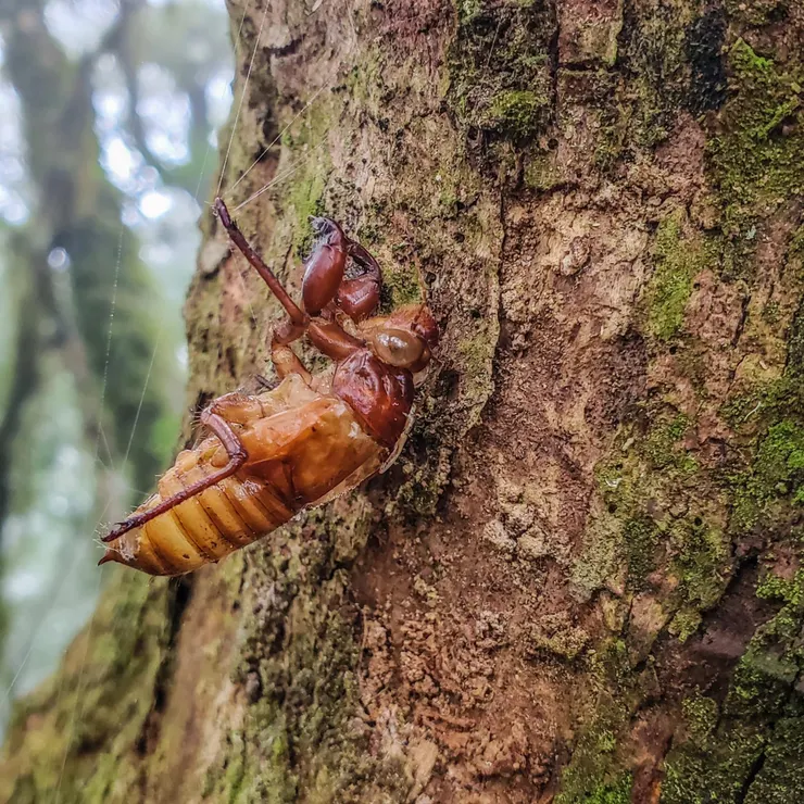 你壓腳背吼～～～