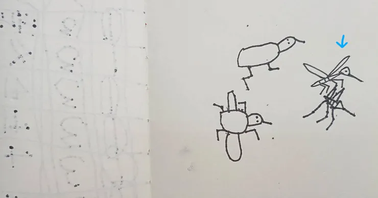 是小魚乾畫的蚊子，有點像烏龜XDD  藍箭頭是後來雪球畫的範例
