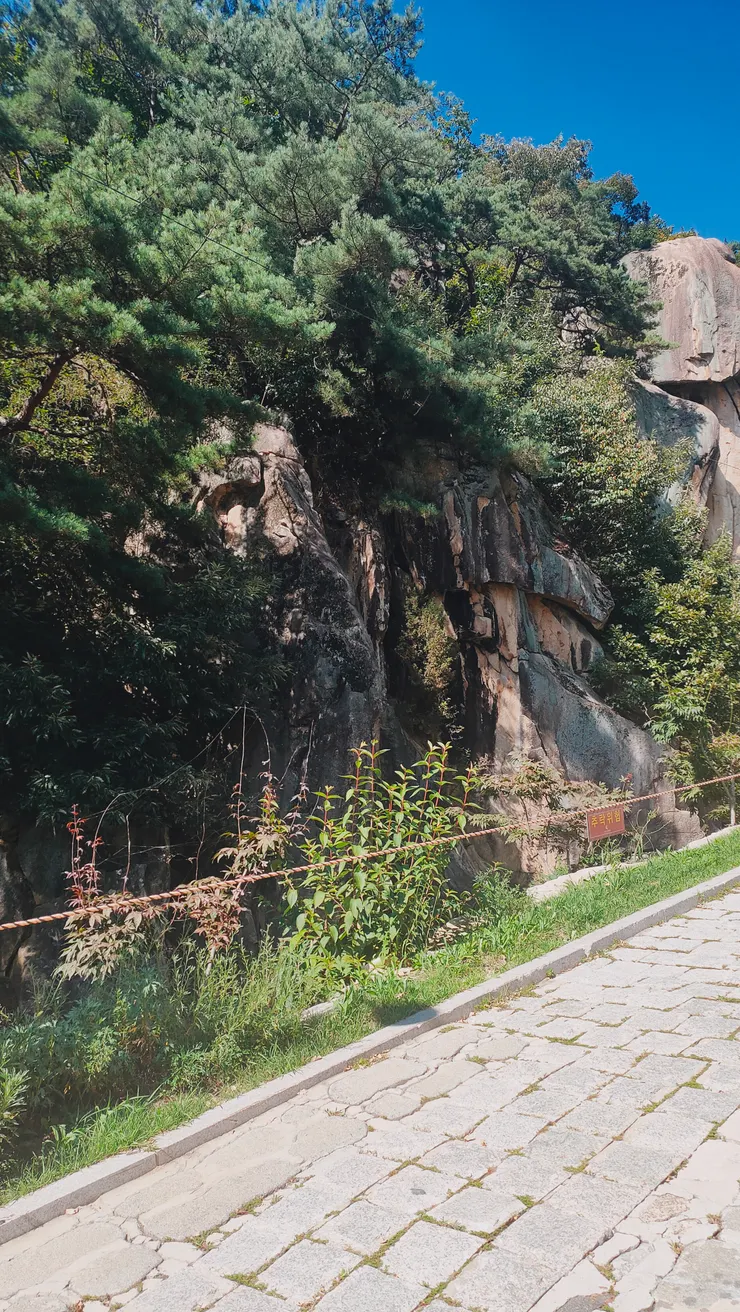 售票口到公園這一段路都是上坡。坡道上的岩石也很壯觀。