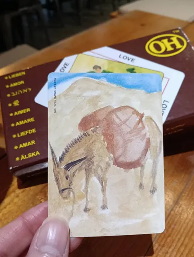 OH卡轉念術：從負重前行的驢子，到充滿幹勁奔向海洋的創業家