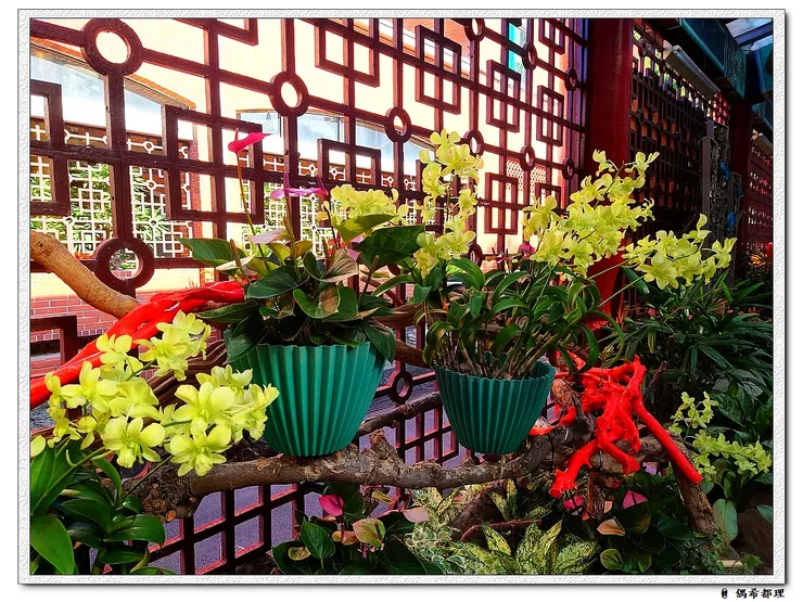 【2022秋季蘭花暨盆花展】