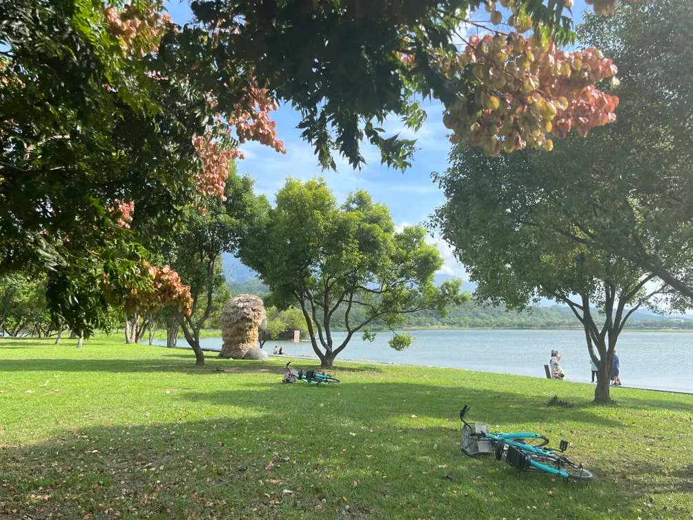 長照勞動法遵小宇宙 ft. 職能的沙龍