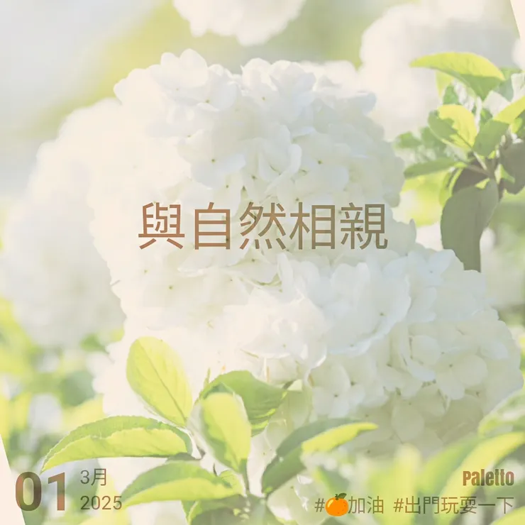 【桔言桔語・每天送給自己一句話】