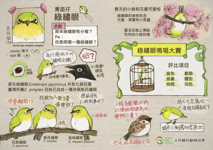 圖片引自阿鏘的動物日常