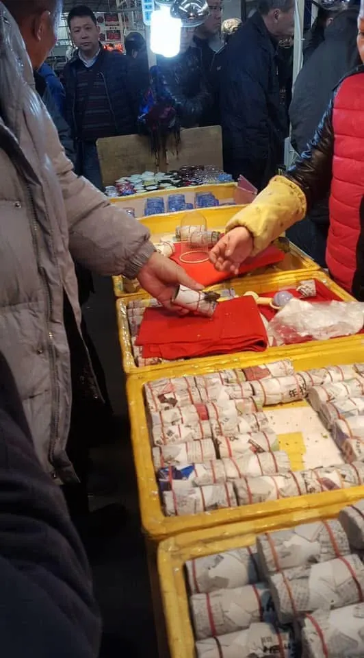 一個紙盒住一隻小萌寵