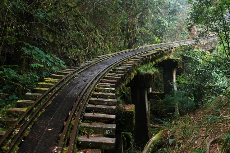 眠月線與台灣其他山中林鐵遺跡最大的不同,在於是用現代工法修復的水泥橋,又堅固又安全。
