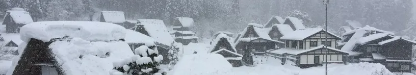 喜悅【魚】的沙龍