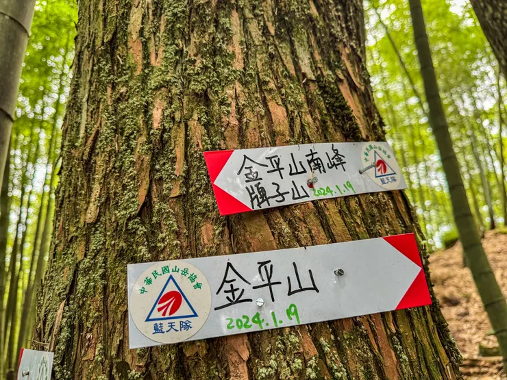 1302 抵逹 金平山/金平山南峰叉路、牌子山 。 取右往金平山