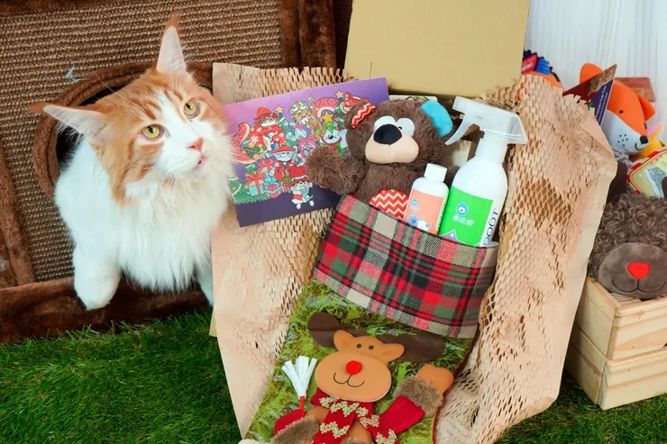 圖說：繽紛好禮「聖誕許願襪福袋」，與毛小孩一起期待耶誕驚喜。（資料來源：臭味滾）