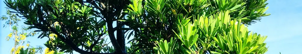 coastfire2021的沙龍