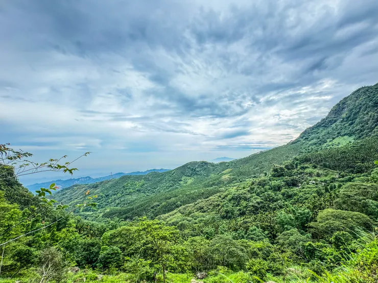 雞籠山往九龍山登山口的展望不錯