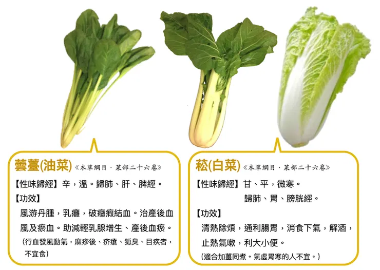 冬季，“蕓薹”、“菘”相伴