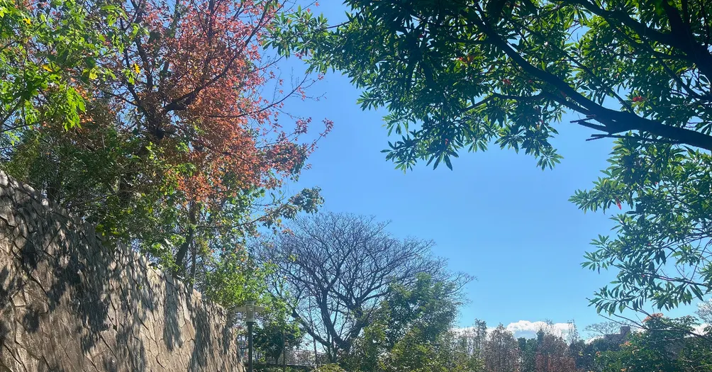妍妍的悅讀樂