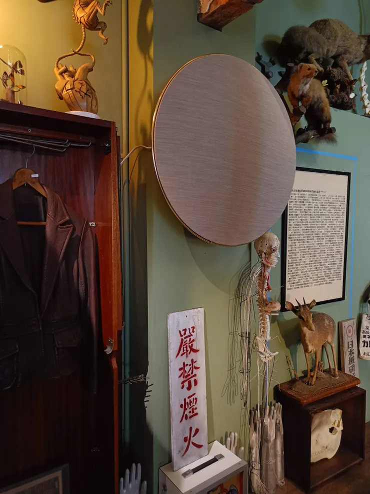 高級音響被眾多標本包圍