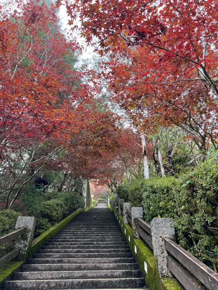 太平山莊的中央階梯共496階，上行真的是對肺活量的一大挑戰！走個幾趟回到平地爬樓梯都不會喘了～